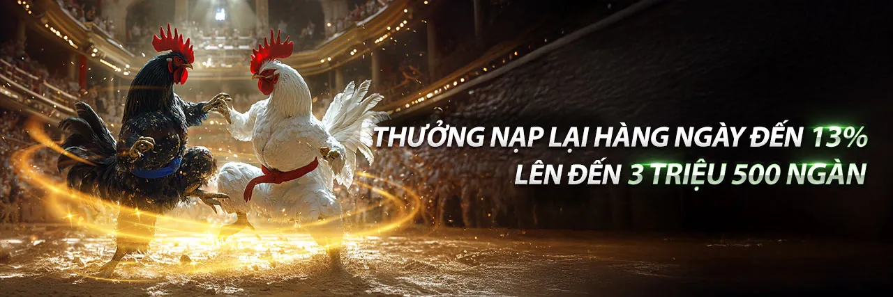 Đá Gà Trực Tuyến Hấp Dẫn tại nohu666 code
