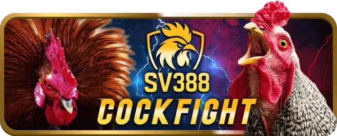 Mẹo chơi slot hiệu quả